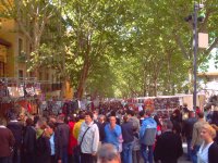 Madrid market